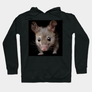 Mouse Hoodie